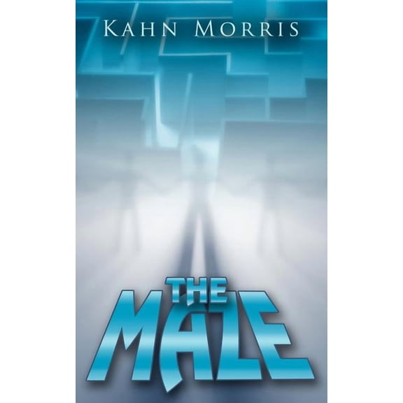 The Maze (Paperback)