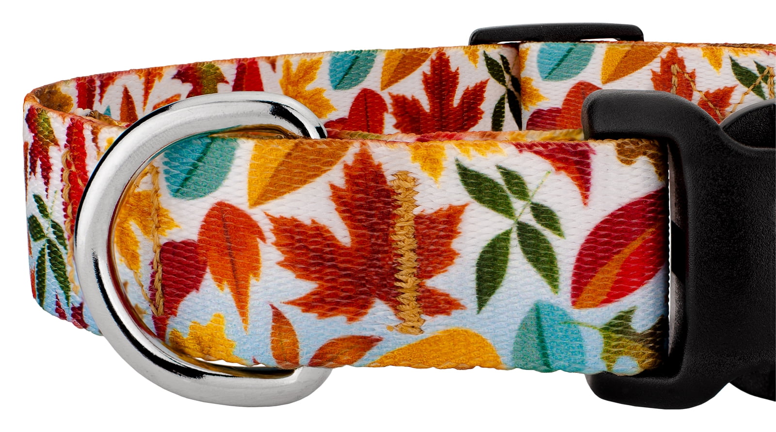 Country Brook Petz® Brisk Autumn Everyday Dog Collar and Leash, Small