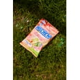 thumbnail image 5 of HI-CHEW Dessert Mix, 6 Bags, 3oz Each - Apple, Key Lime Pie, Strawberry Ice Cream - Unique Fun Soft & Chewy Candy - Immensely Creamy Fruity Candy Flavors - Individually Wrapped for Sharing, 5 of 5