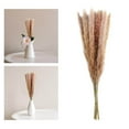 thumbnail image 2 of 15Pcs Natural Dried Pampas Grass Reed Flowers Home Wedding Used in Decor Gift, 2 of 8