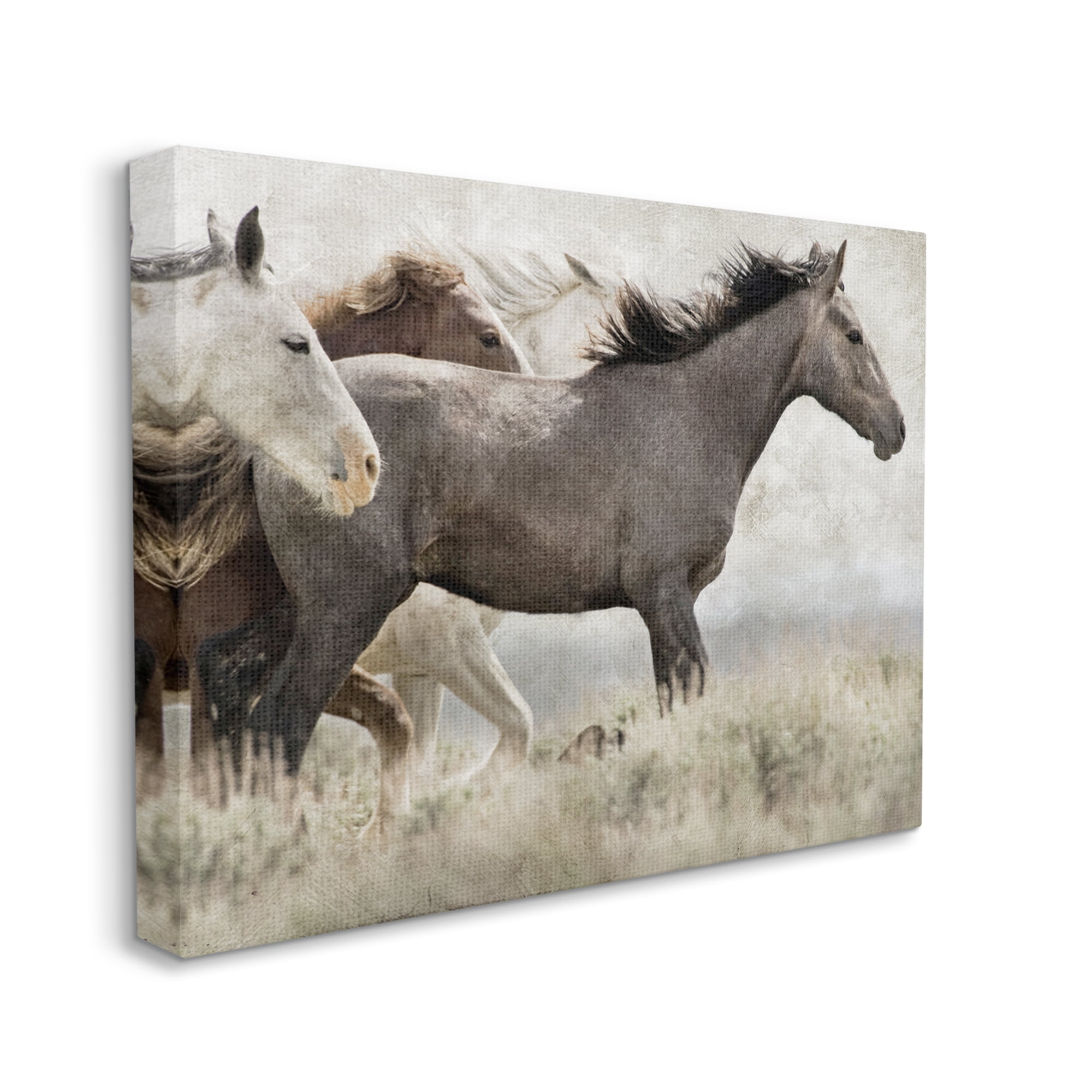Stupell Industries Rustic Southwestern Horses Animals & Insects Photography Gallery Wrapped Canvas Art Print Wall Art, 40 x 30