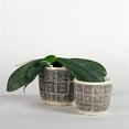 thumbnail image 1 of Brown & Black Patterned Planters - Set of 2, 1 of 1