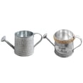 thumbnail image 1 of Miangastore Portable Watering Can Set of 2 Iron Kettle for Indoor Outdoor Use Silver Color, 1 of 8