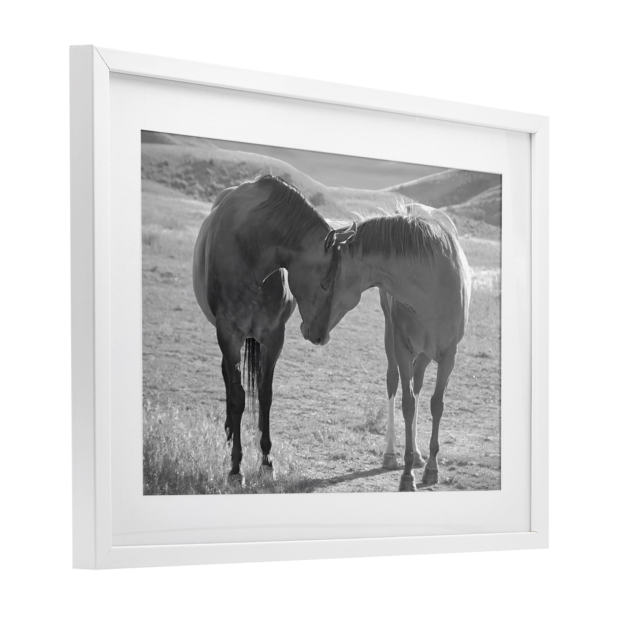 Stupell Industries Sweet Nothings Bond Between Horses White Framed Print Under Glass, design by Steve Toole