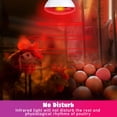 View all media