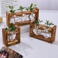thumbnail image 3 of Dserhfy Plants Propagation Station with Wooden Stand Indoor Plant Terrarium Hydroponic Flower Holder Container Decoration Table Centerpiece, 3 of 7