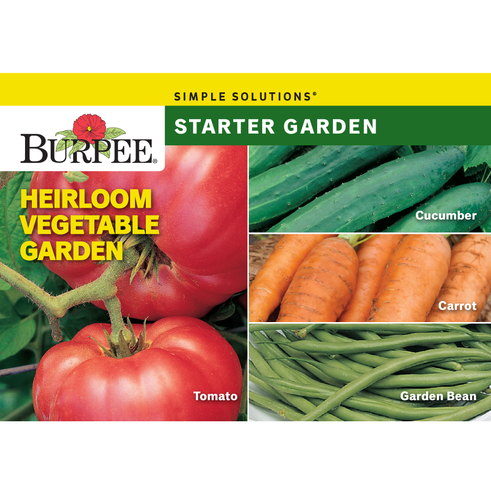 Burpee Heirloom Vegetable Starter Garden Vegetable Seed Collection, 1