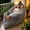 Gray, variant on 3-in-1 Oversized Bean Bag Chair, Multi-functional Lounge Sofa for Home Leisure, Gray