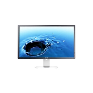 Dell E170S 17