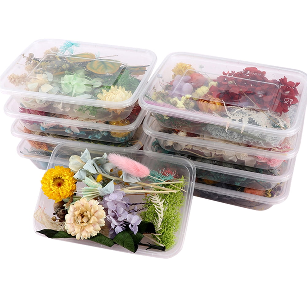 1 Box Real Dried Flowers For DIY Art Craft Epoxy Resin Pendant Jewelry Making CA 
