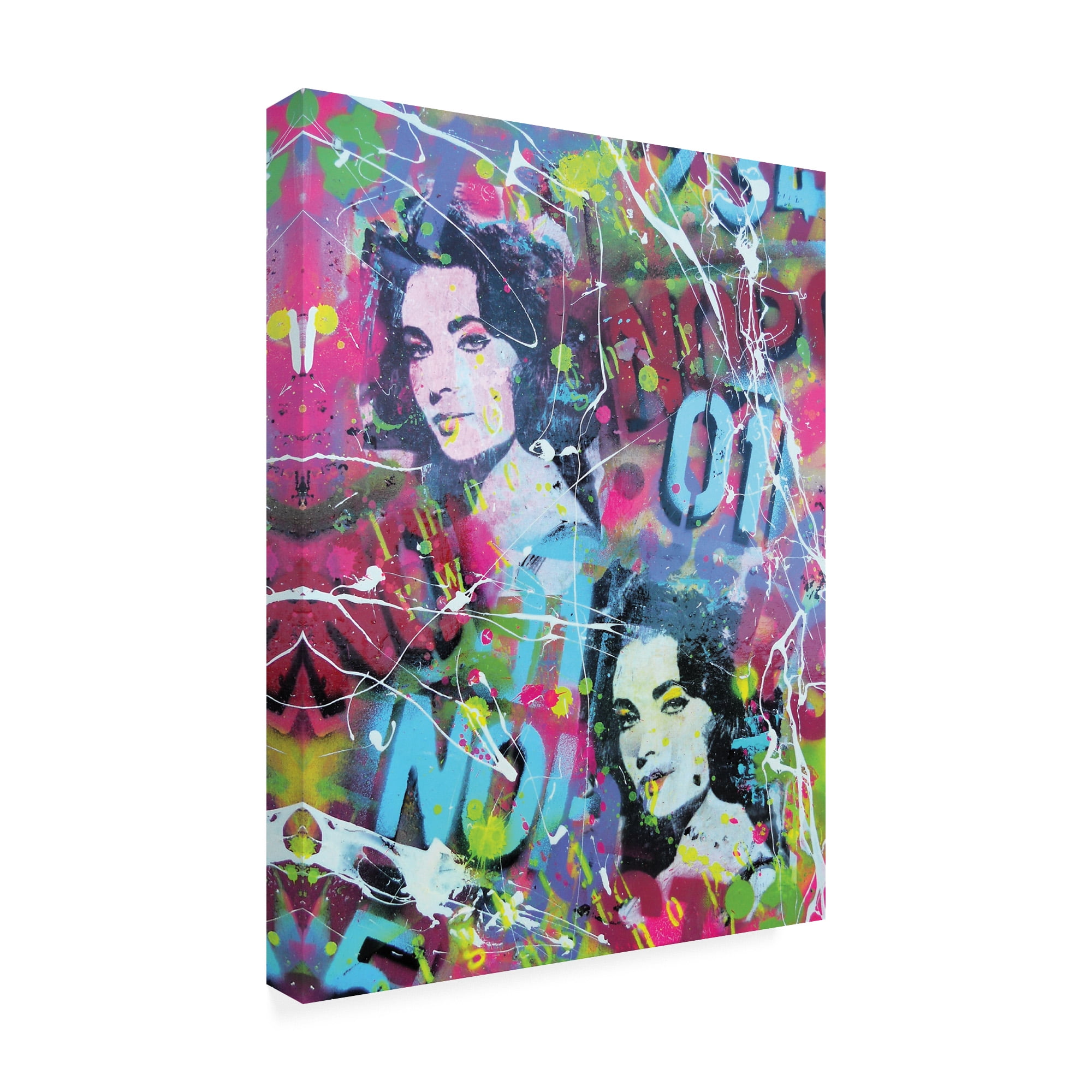 Trademark Fine Art 'Liz Taylor Collage' Canvas Art by David Drioton