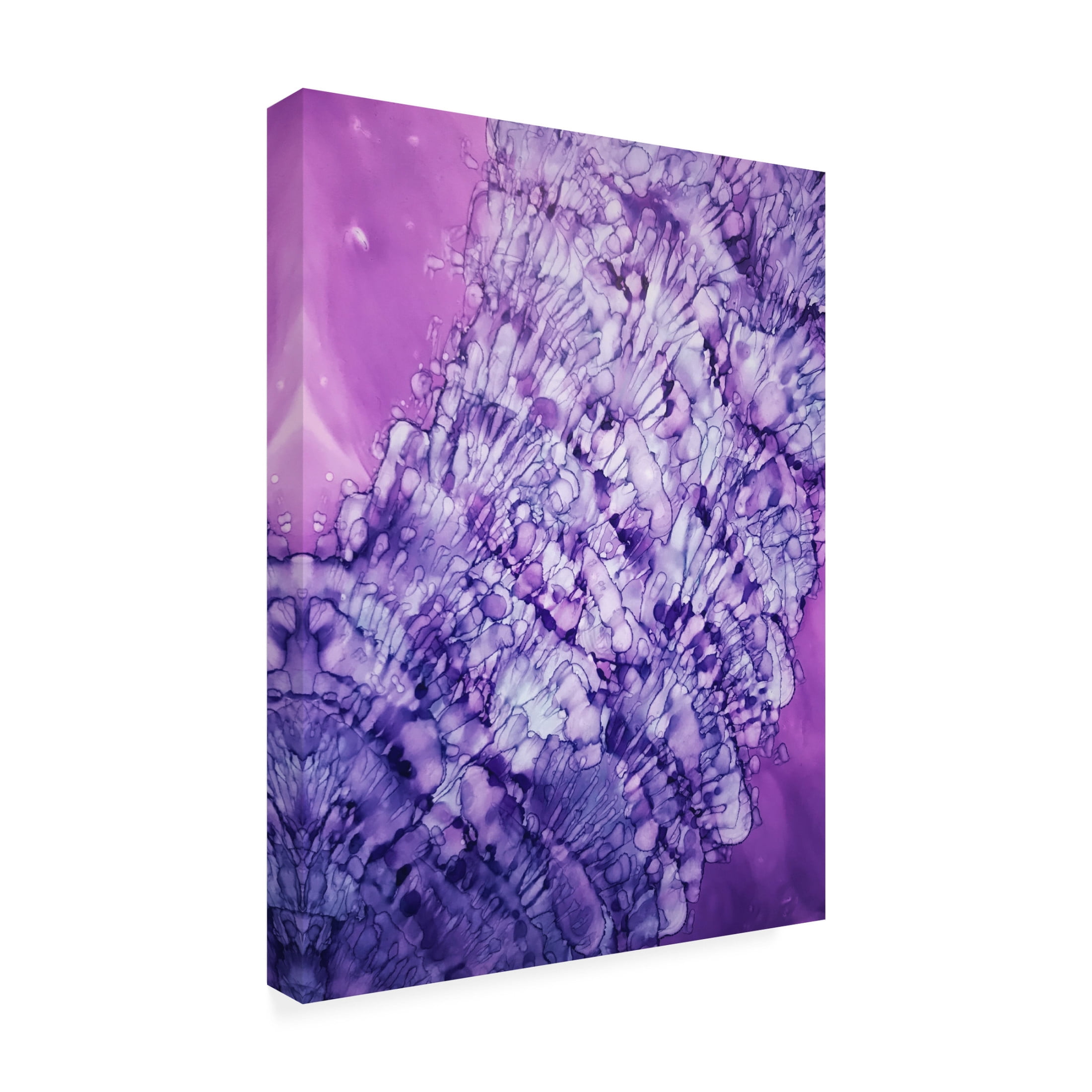 Trademark Fine Art Tara Mann She Sells Sea Shells Canvas Wall Art