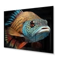 thumbnail image 2 of Designart "Photogenic Fish Portrait" Animals Metal Wall Art Prints, 2 of 5
