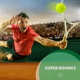 thumbnail image 3 of Pressure Tennis 12 Pack With Mesh Carry Bag, Tennis For Dogs, Highly Ity, 3 of 4