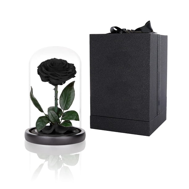 Rosas preservadas en cúpula de cristal Perfectione Roses Black