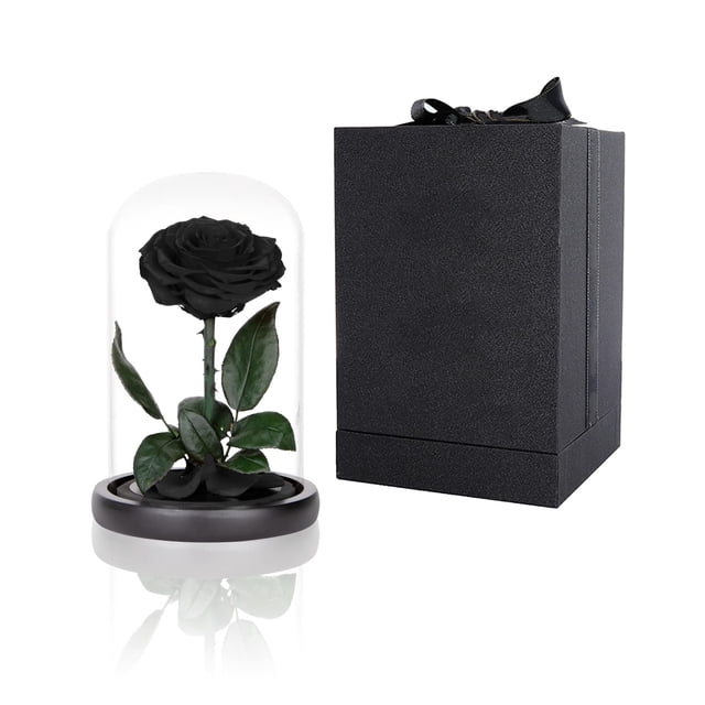 Rosas preservadas en cúpula de cristal Perfectione Roses Black