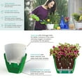 thumbnail image 3 of ⭐ Santino ASTI 11.8 Inch Self Watering Planter MENTHOL/WHITE for Indoor Plants - Premium Modern Plastic Pot w/ Water level Indicator for All House Herbs, Plants, African Violets and Dahlias, 3 of 9