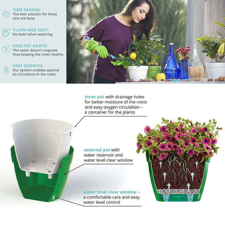 self watering planter pot Pie Rim Self-Watering Pot — Green Acres Nursery & Supply main image 1