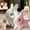 White, variant on Bunny Pal, Family Bunny, Libiyi/Petsboro⢠Bunnypal, Bunby - My Realistic Bunny Toy Wollera Horizons, Interactive Rabbit Toy - Jumping, Twitching, and Ears
