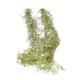 thumbnail image 5 of Matsuzay Colgante de pared de plantas artificiales de 2 piezas: decoración natural y realista para cualquier espacio ampliamente utilizado blanco 2piezas, 5 of 6