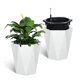 thumbnail image 1 of De altura diamond planters set of 2-distinctive shape water level window smooth-rolling wheels y versatile placement para patio porch sala de estar o oficina en casa, 1 of 6