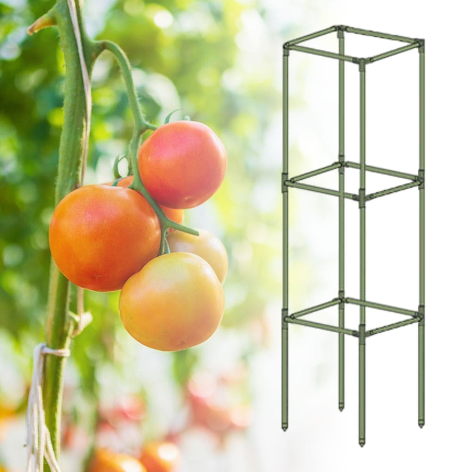 Aymzbd Square Tomato Cage Bean Sturdy Multi Functional Practical Climbing Trellis Plant