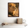 thumbnail image 2 of African Lion Sitting in the Sun Jungle King Animal Portrait Photograph Art Print Framed Poster Wall Decor 12x16 inch, 2 of 4