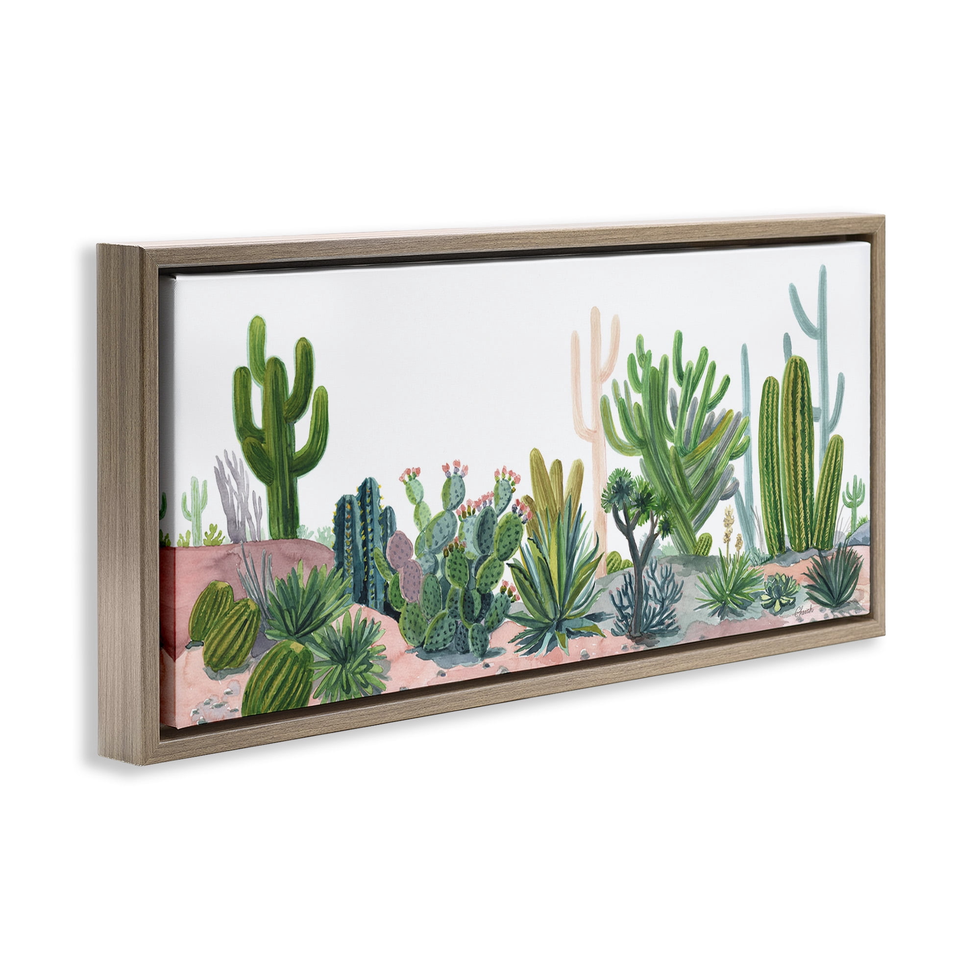 Stupell Industries Varied Desert Vegetation Cacti Botanical & Floral Painting Brown Floater Framed Canvas Art Print Wall Art, 25 x 11