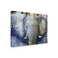 Trademark Fine Art 'Purple Elephant' Canvas Art by Surma & Guillen