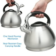 Easyworkz Whistling Stovetop Tea Kettle Stainless Steel Hot Water Tea Pot, 3L, Brushed Silver