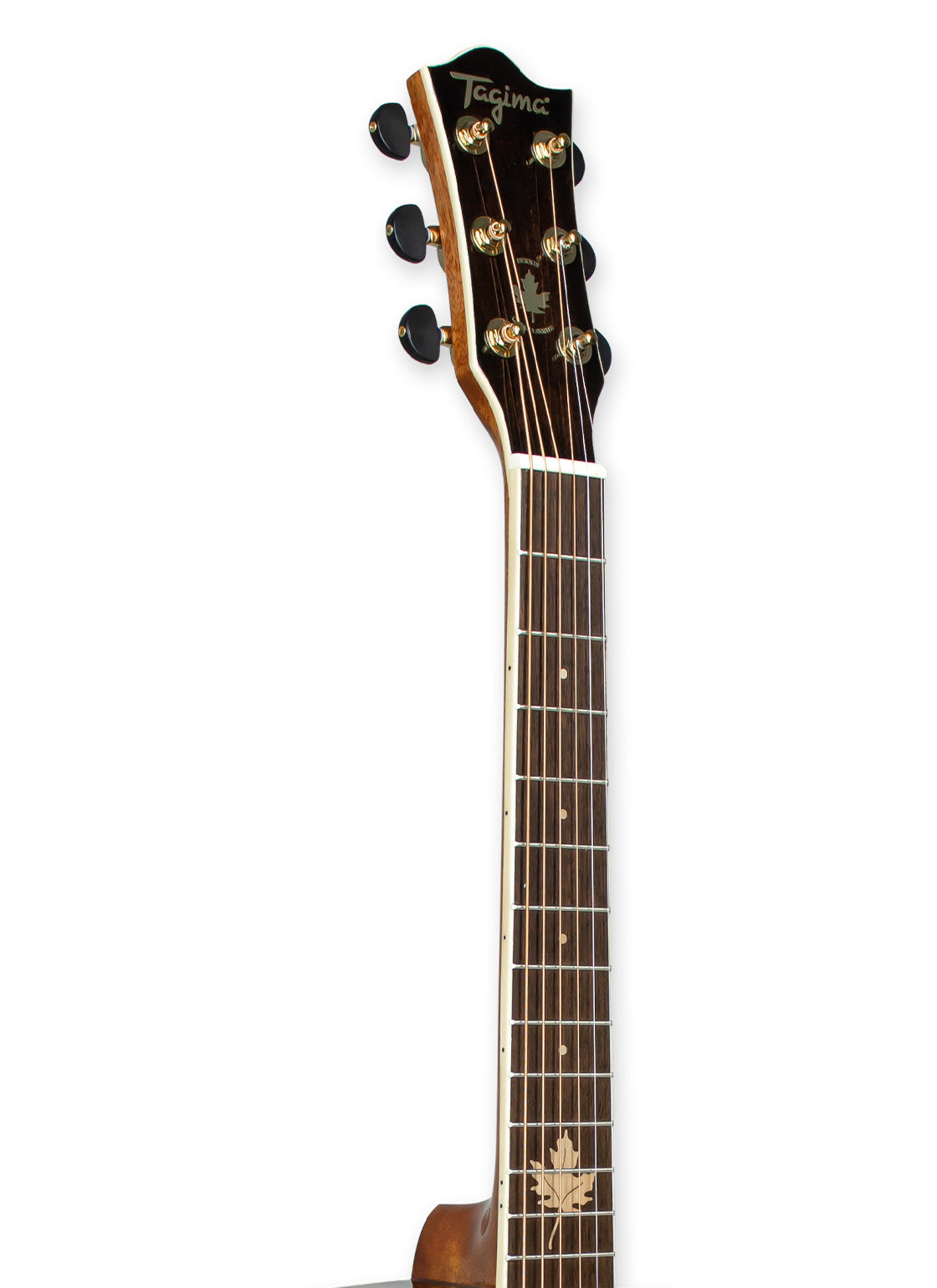 Tagima FERNIE-NA Acoustic Guitar - Natural