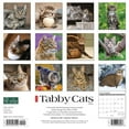 thumbnail image 2 of Just Tabby Cats 2024 12 X 12 Wall Calendar (Calendar), 2 of 4