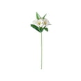 thumbnail image 2 of Yusimy Artificial 6-Head Trumpet Flower Artificial Fabric Table插花 for Home Office and Wedding Vase Decor 19.29 Inch, 2 of 6