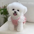 thumbnail image 2 of Adorable Pet Clothes for Cats & Small Dogs - Charming Spring & Autumn Wear, 2 of 2