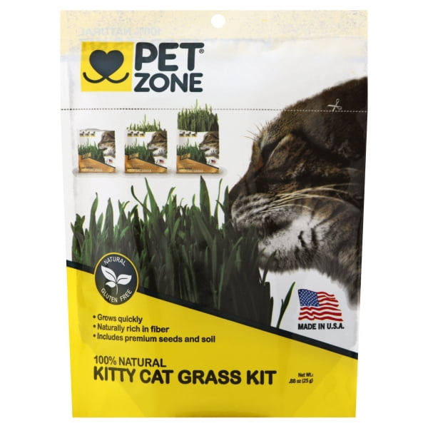OurPet's Cat Grass Kit Cat Healthcare, 4 Oz