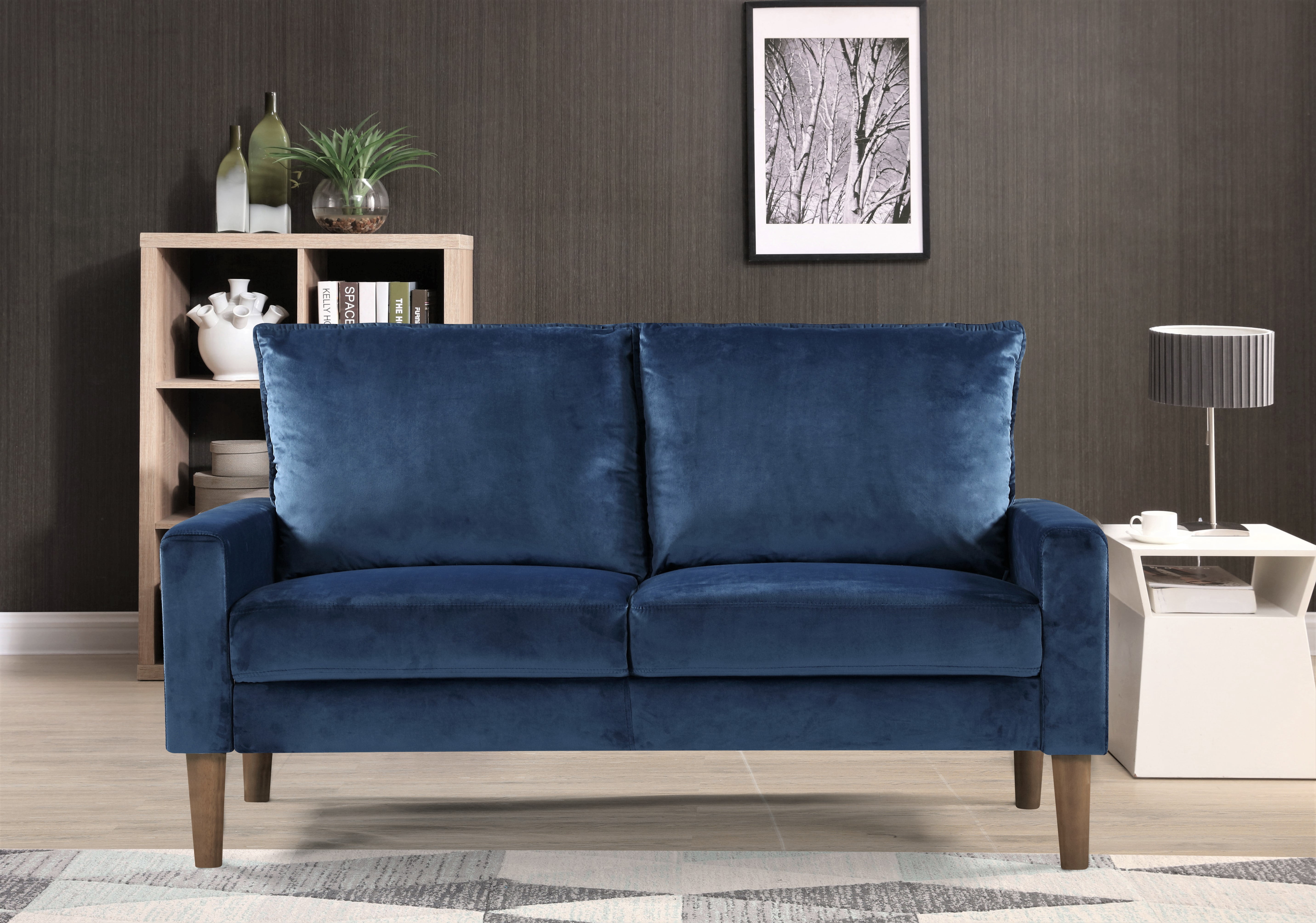 Beily Velvet Square Arm 2 Pieces Living Room Set