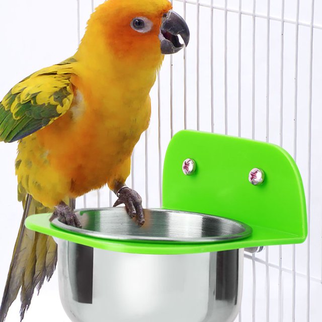 Taza de alimentación, recipiente de alimentación portátil para pájaros, mascotas, animales, cuenco de alimentación, diseño a prueba de futuro
