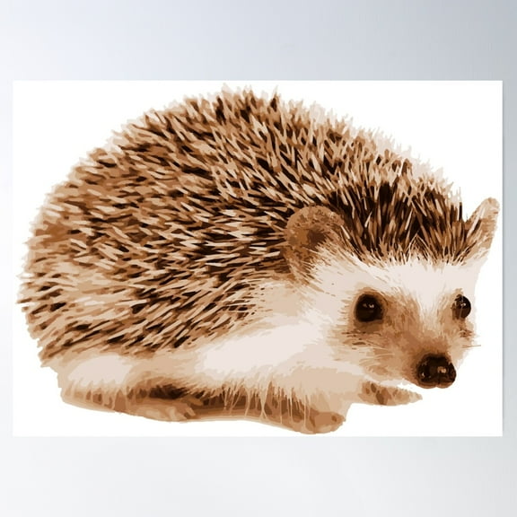 Hedgehog Illustration Print Poster Wall Art, Modern Wall Decor For Living Room Bedroom, 8x12 UNFRAMED