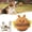 A, variant on 1 PCS Plush Spiky Ball Dog Toy, 2026 New interactive Dog Toys, Jumping Squeaky Chew Toy Ball with Soft Durable Fabric for Small Medium Large Dogs Puppy Teething Toys