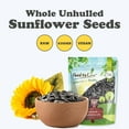Sunflower Seeds In Shell 5 Pounds Crunchy And Nutty Snack For On sunflower-seeds-in-shell-5-pounds-crunchy-and-nutty-snack-for-on
