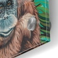 thumbnail image 3 of Epic Art 'Jungle Monkey I' by Carolee Vitaletti Acrylic Glass Wall Art, 24"x24", 3 of 3