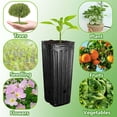 thumbnail image 5 of 50pcs Plastic Deep Plant Nursery Pots - 9.8" Tall Black Tree Pots with Drainage Holes for Seedlings Indoor Outdoor Gardening, 5 of 7
