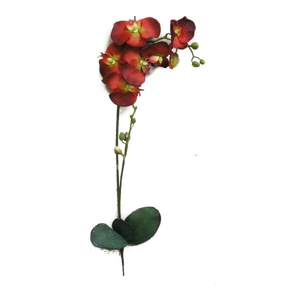 Orchid Phalaenopsis Spray with Leaves - Red - 1piece