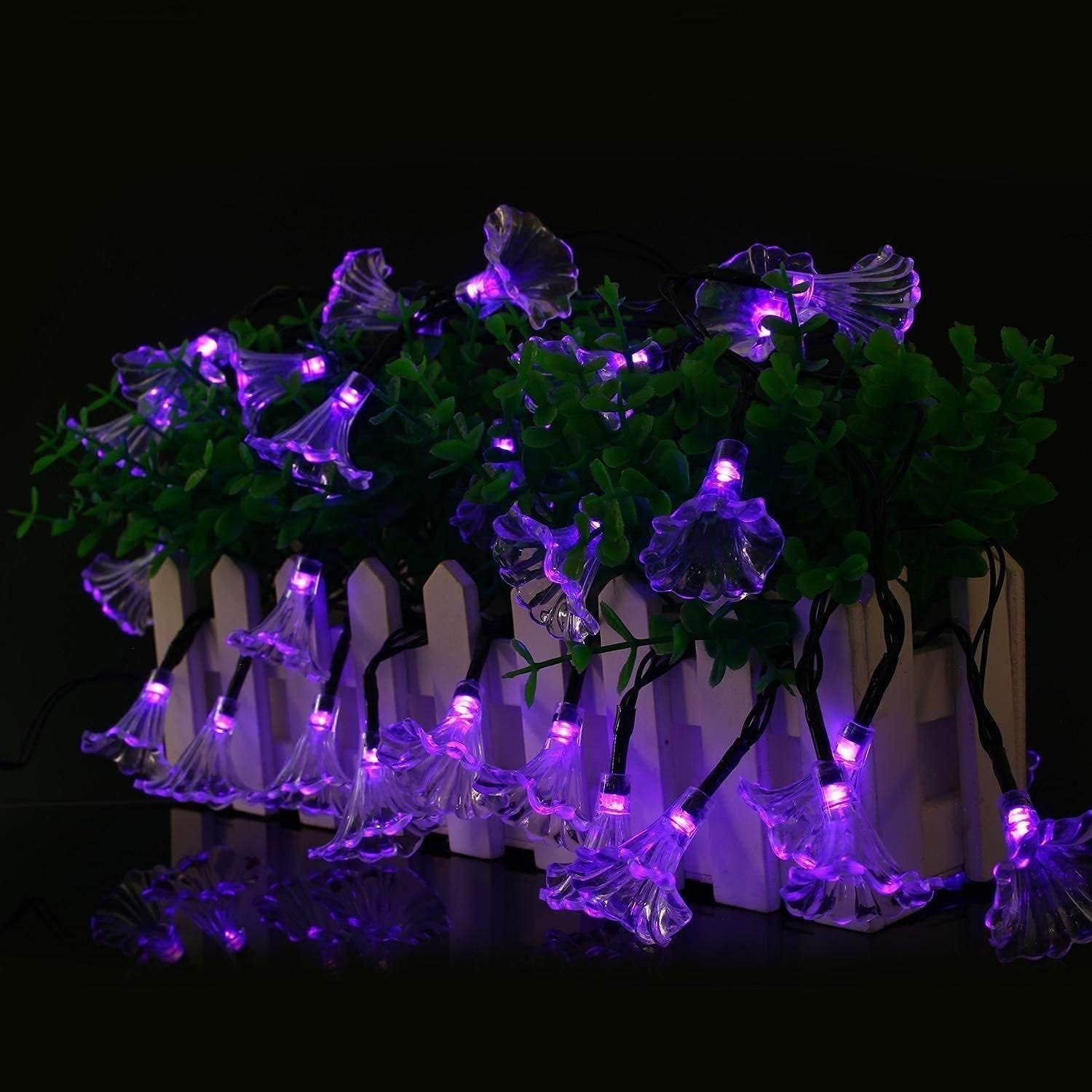 Solar String Lights Garden, 4.5m 20LED Solar Morning Glory Fairy String Lights Solar String Lights Outdoor Waterproof Solar Flower String Lights