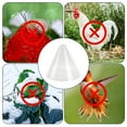 thumbnail image 4 of Cubierta de Plantas de Cono, Plantas de Campana Reutilizables Cubren Mascota para Jardín, 4 of 7
