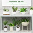 thumbnail image 2 of 40 Uds. De letreros de plantas de madera, etiquetas de plantas de madera, letreros de jardín, etiquetas de letreros de plantas, regalo, 2 of 5