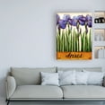 thumbnail image 3 of Trademark Fine Art 'Irises Purple' Canvas Art by Daniel Patrick Kessler, 3 of 3