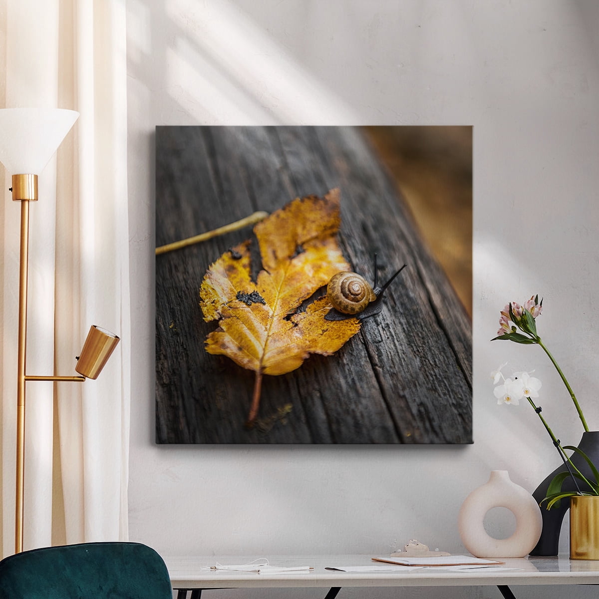 Wexford Home Snail's Pace-Premium Gallery Wrapped Canvas, 16" x 16" - Ready to Hang