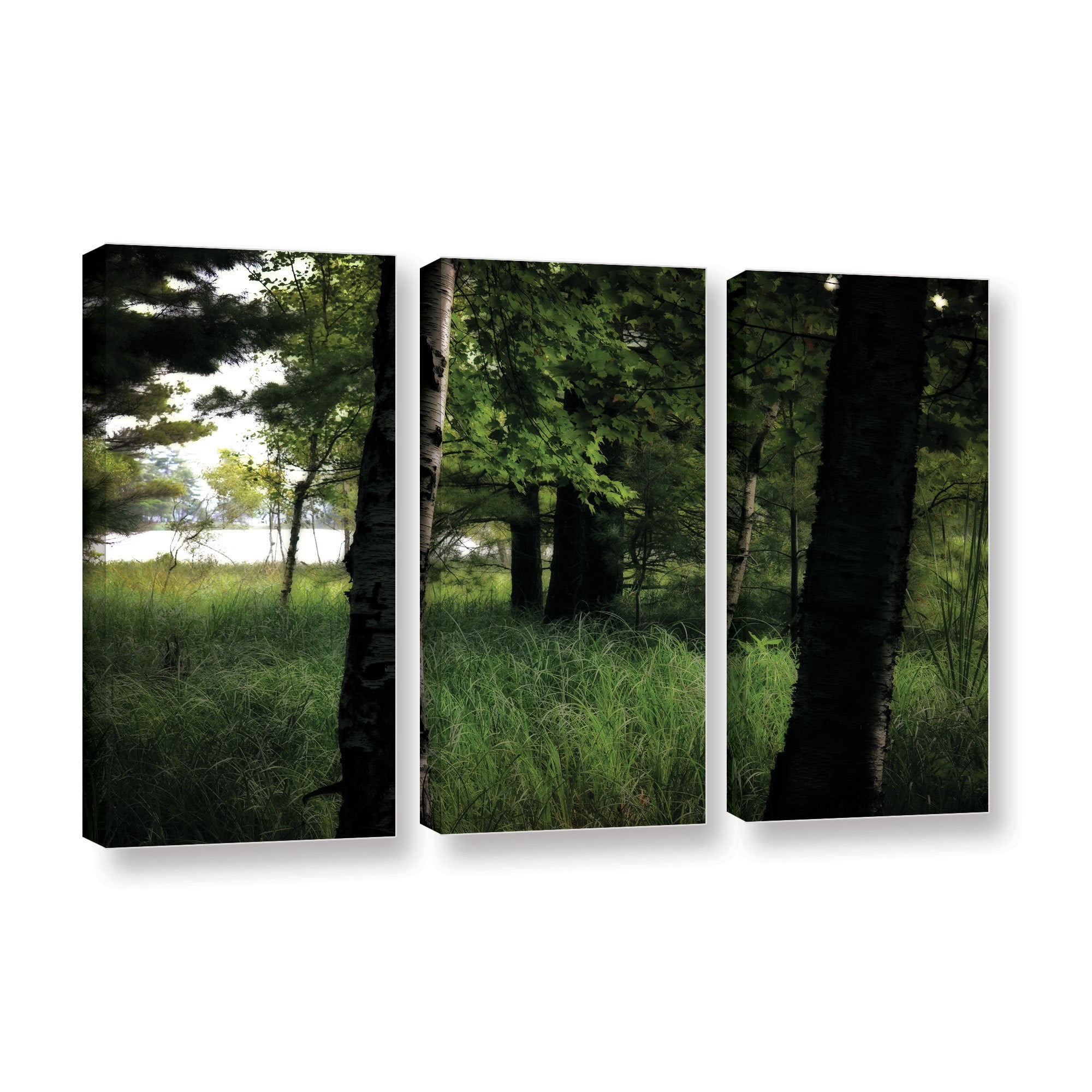 ArtWall Kevin Calkins "Birch and Pines" 3-Piece Gallery-Wrapped Canvas Set