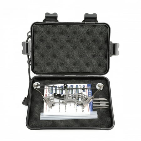 Mini Compound Bow Archery Set for Kids - Beginner Target Practice Gift